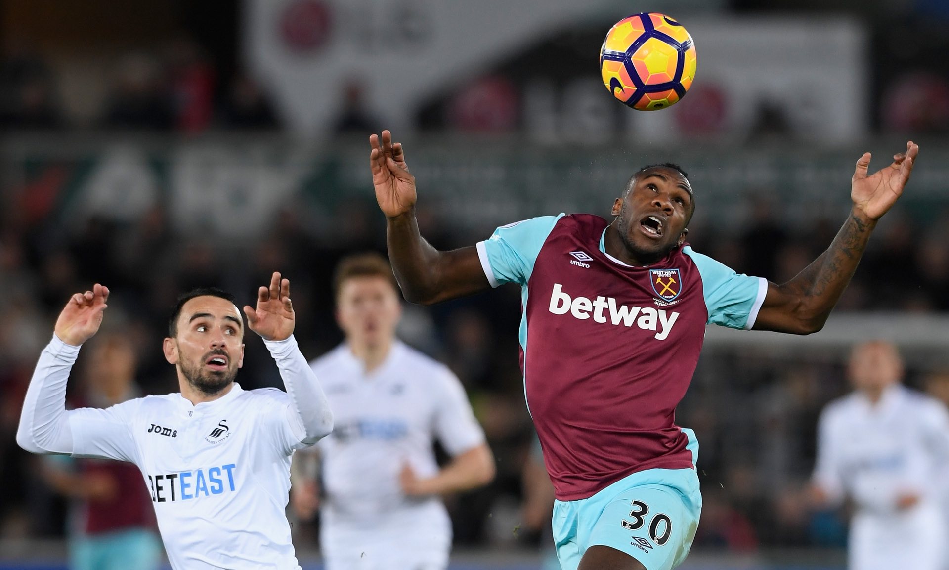 称号的坚实 称号的坚实